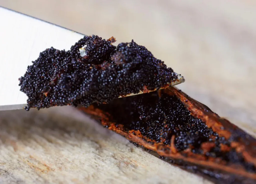 VANILLA CAVIAR