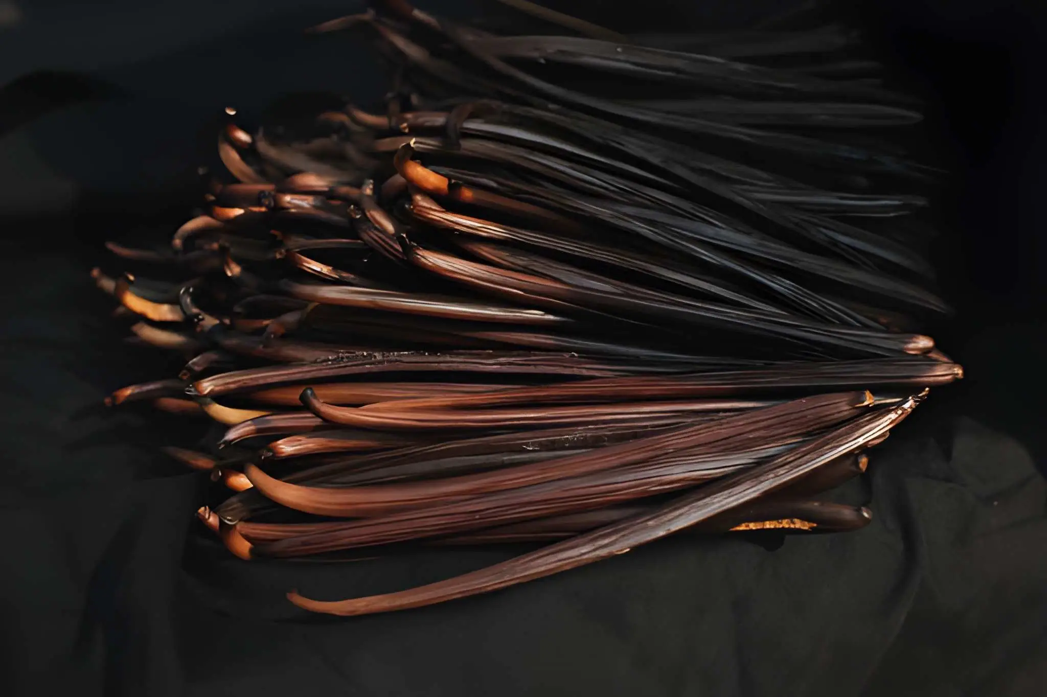 Vanilla harvest Sava