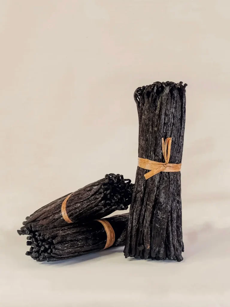 GOURMET BLACK VANILLA