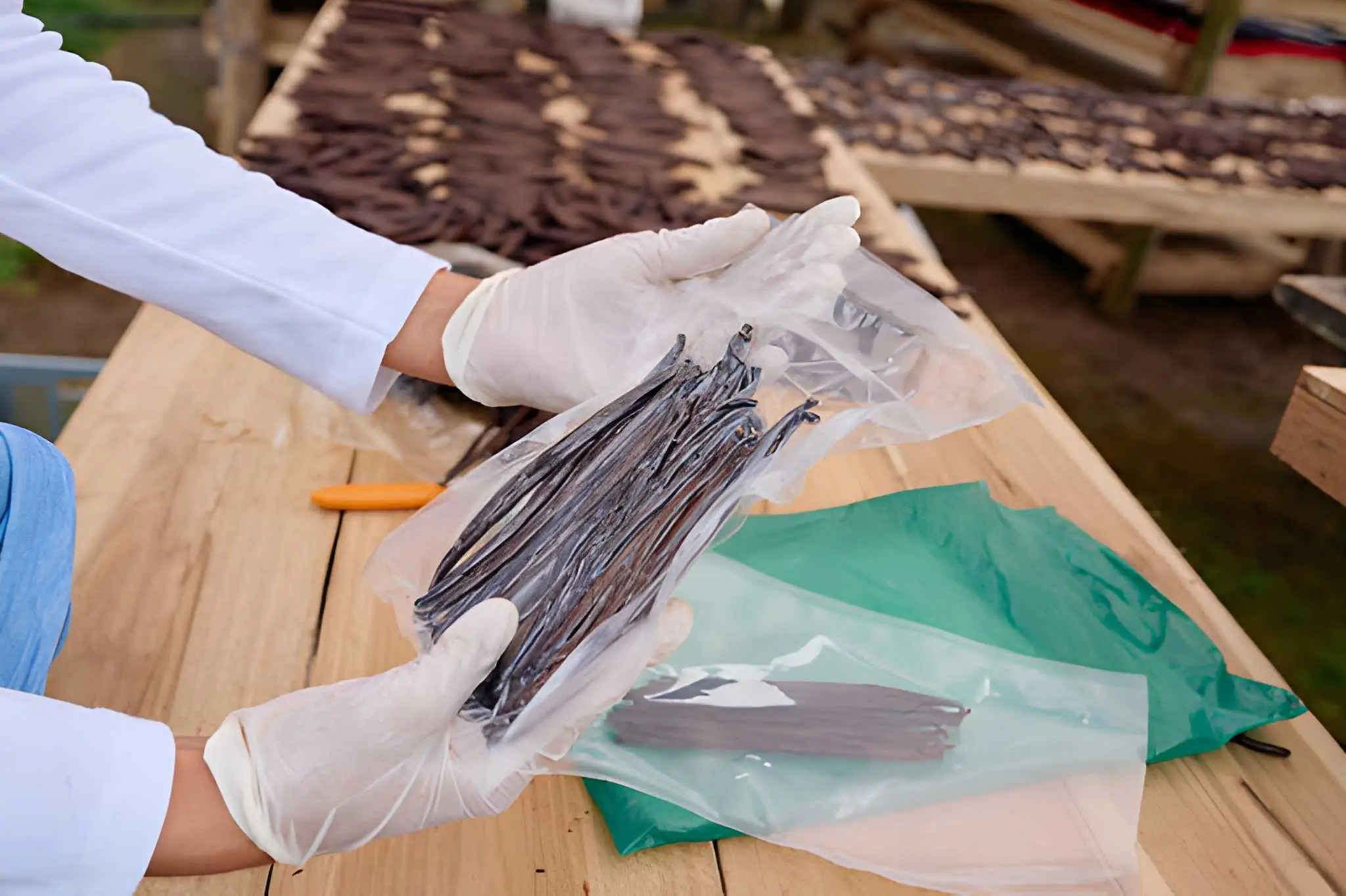 Black vanilla beans