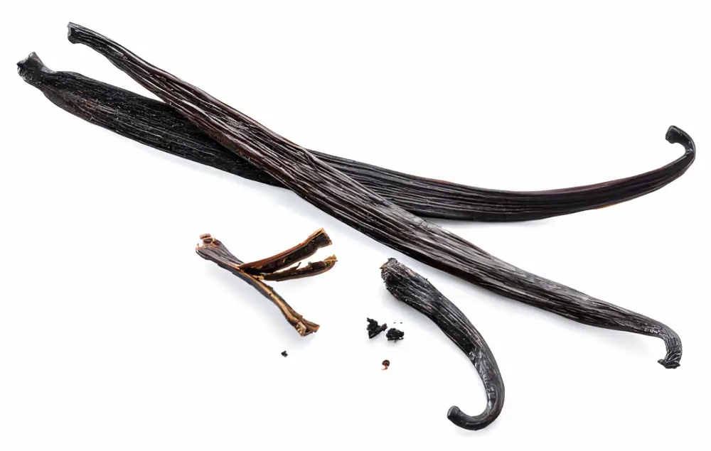Premium Madagascar black vanilla