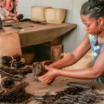 The Art of Vanilla Curing_ From Green Bean to Black Gold