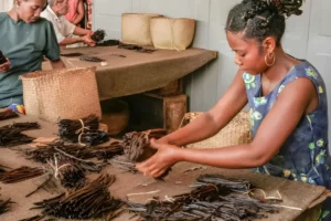The Art of Vanilla Curing_ From Green Bean to Black Gold
